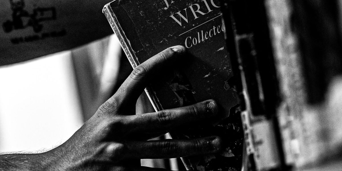 The thrill of finding a new captivating book series is a unique joy for avid readers.
